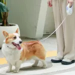 LED světelné zatahovací vodítko pro psy - 5m, barva fialová - bílá, se svítidlem pro hledání exkrementů za šera a tmy, baterie jsou součástí TopTechnology